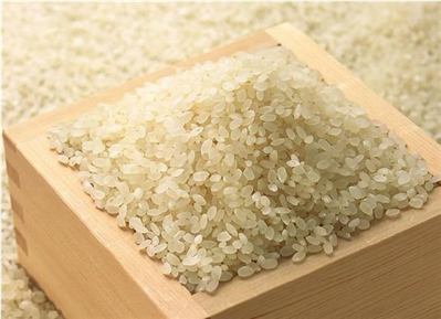 京山桥米属于籼米吗