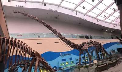 陕西自然博物馆恐龙有哪些