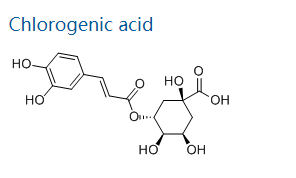绿原酸有什么样的化学结构？属于哪一类化合物？
