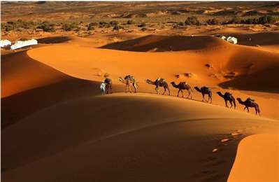 如何治理撒哈拉沙漠，帮助非洲发展经济？