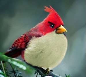 愤怒的小鸟中的红鸟是什么鸟？