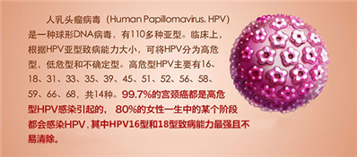 人乳头瘤病毒16、59型结果为阳性，参考值为阴性