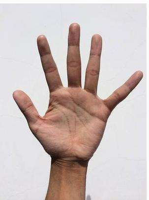 请教老中医：我手掌十个指尖，用手一按充血通红，其他指节无反映，有什么预感吗？