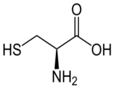 L-半胱氨酸具有解毒性，它的解毒原理是怎样的？