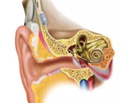耳蜗手术有哪些风险？