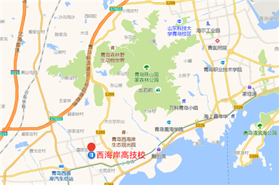 青岛西海岸新区高级技术学校地址在哪