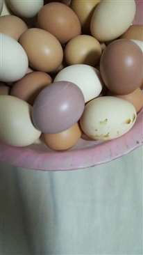 哪位知道这枚鸡蛋怎么了，能食用吗？