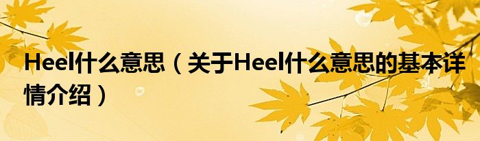 Heel是什么意思？