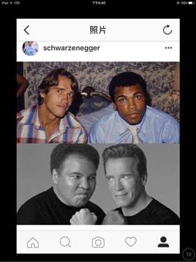 施瓦辛格和拳王阿里谁更有名？指的是世界知名度谁更有名？