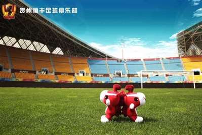 贵州恒丰足球俱乐部的吉祥物是什么？