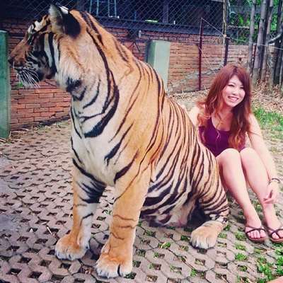 这位女士很喜欢靠近老虎旁边拍照这样有风险吗？