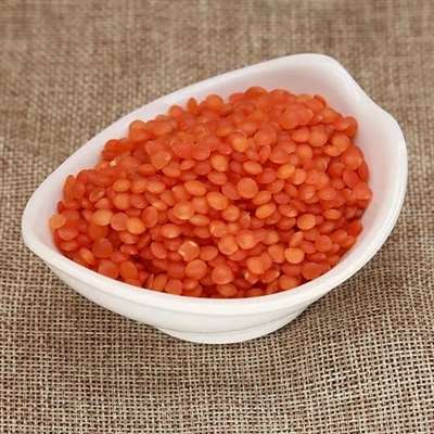 土耳其红小扁豆种子哪里有卖的